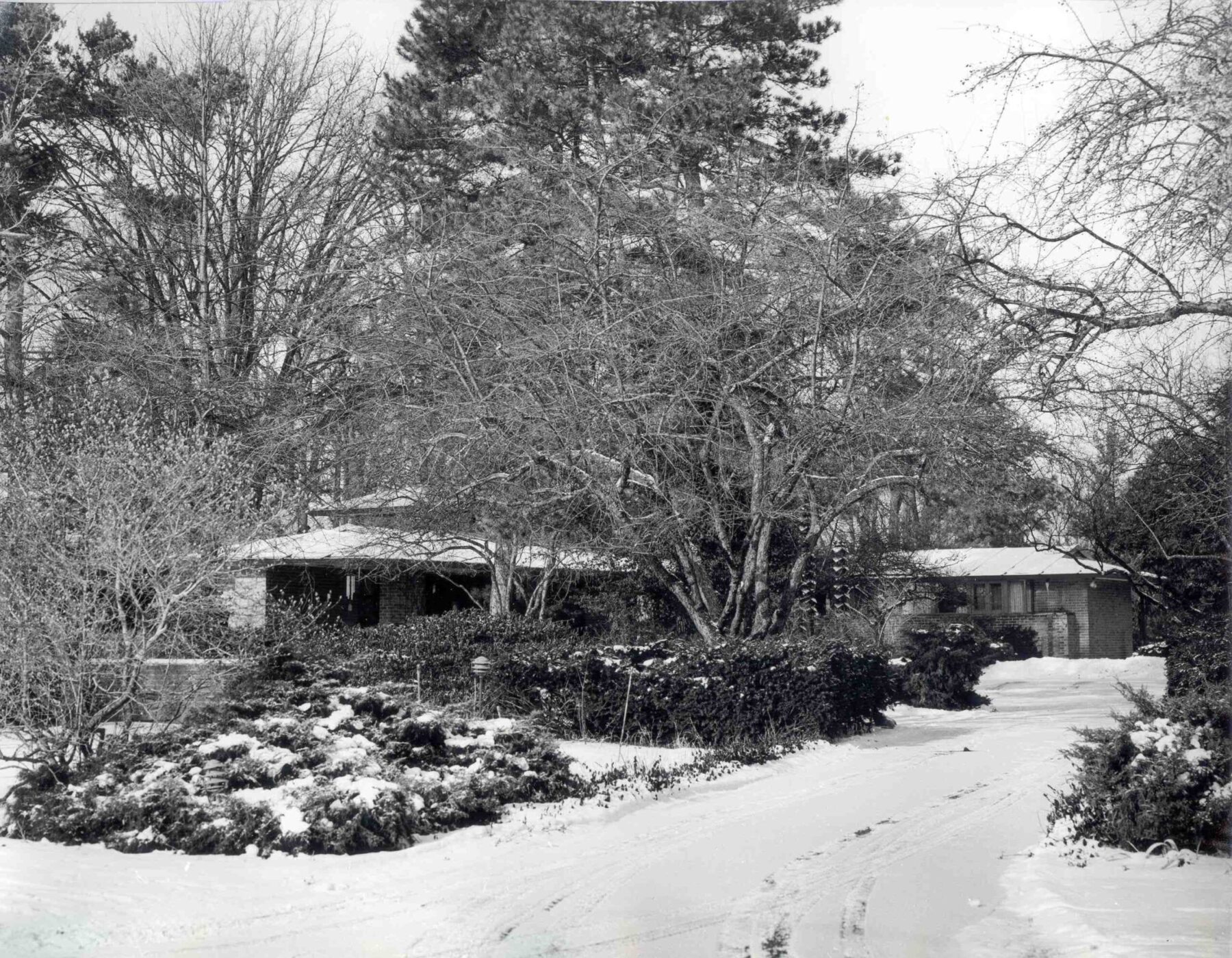 Earl R. & Mae Stein House Michigan Modern